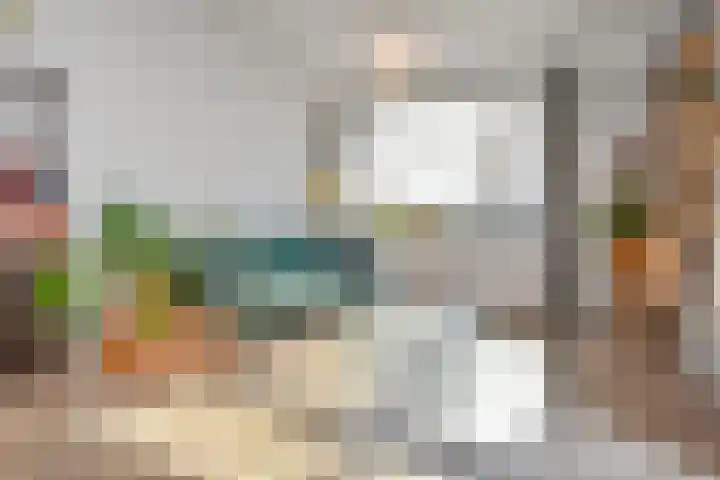 Mient 11 Den Haag thumbnail 11