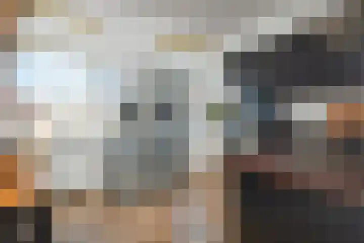 Mient 11 Den Haag thumbnail 4