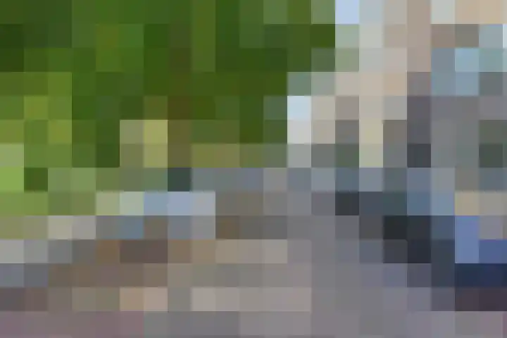 Mient 11 Den Haag thumbnail 40