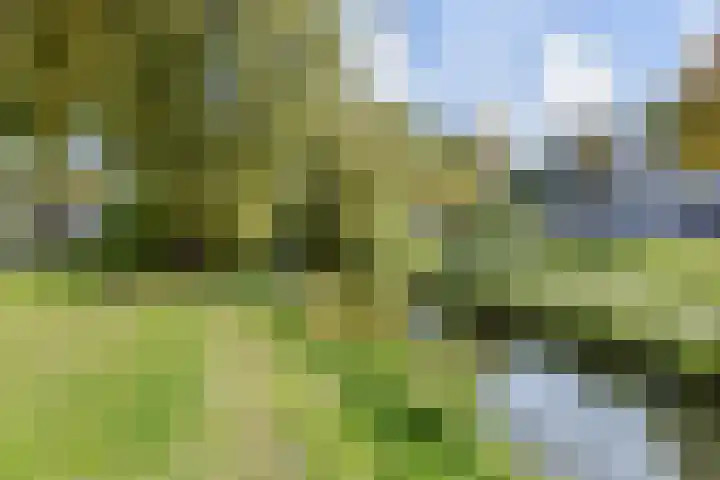 Mient 11 Den Haag thumbnail 43