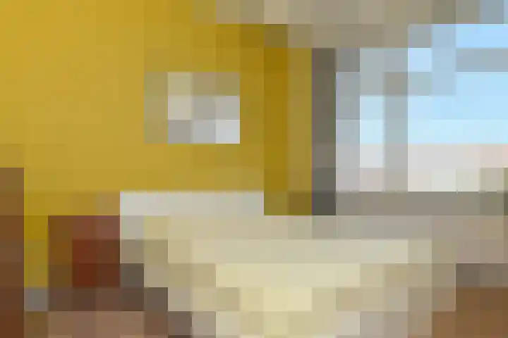 Mient 11 Den Haag thumbnail 5