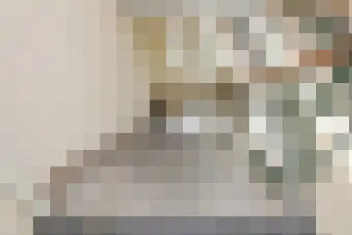 Mient 11 Den Haag thumbnail 7
