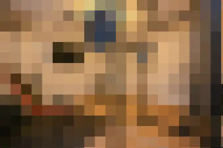 Mient 112 Den Haag thumbnail 52