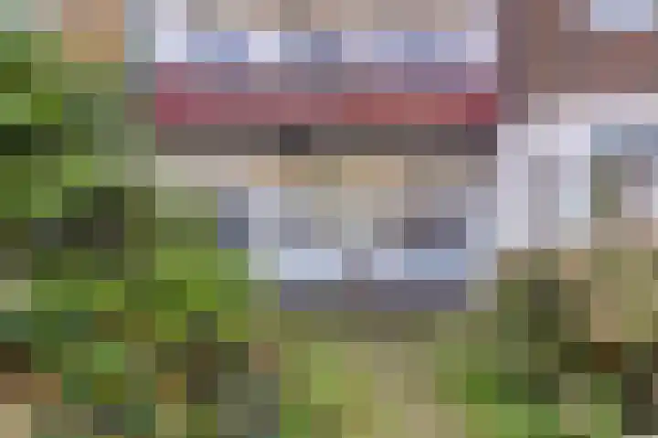 Mient 151 Den Haag thumbnail 22