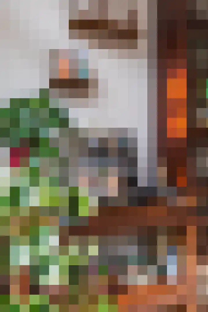 Mient 16 Den Haag thumbnail 15