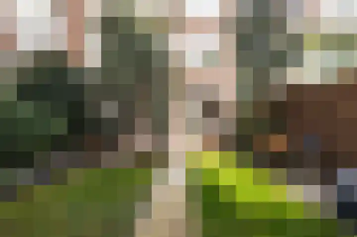 Mient 16 Den Haag thumbnail 16
