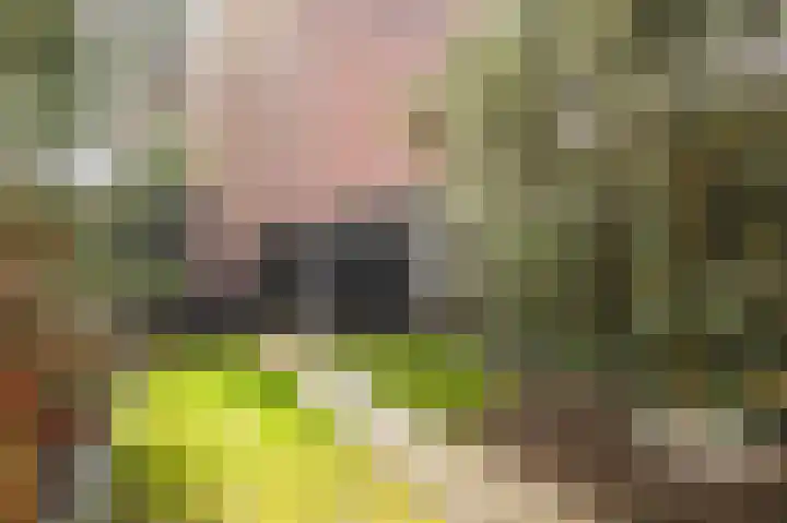 Mient 16 Den Haag thumbnail 20