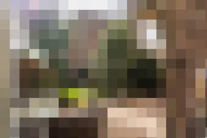 Mient 16 Den Haag thumbnail 4