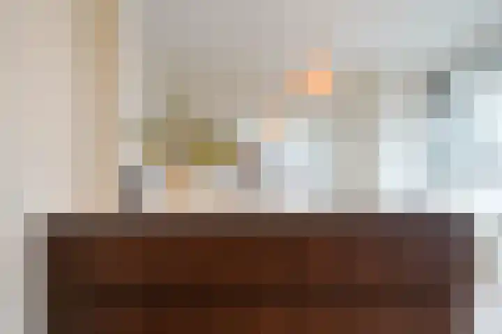 Mient 160 Den Haag thumbnail 13