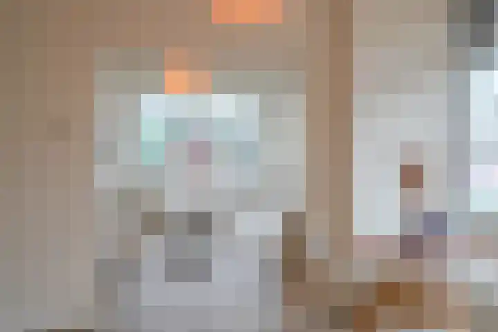 Mient 160 Den Haag thumbnail 17