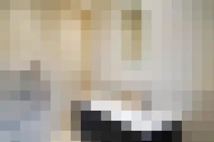 Mient 160 Den Haag thumbnail 33