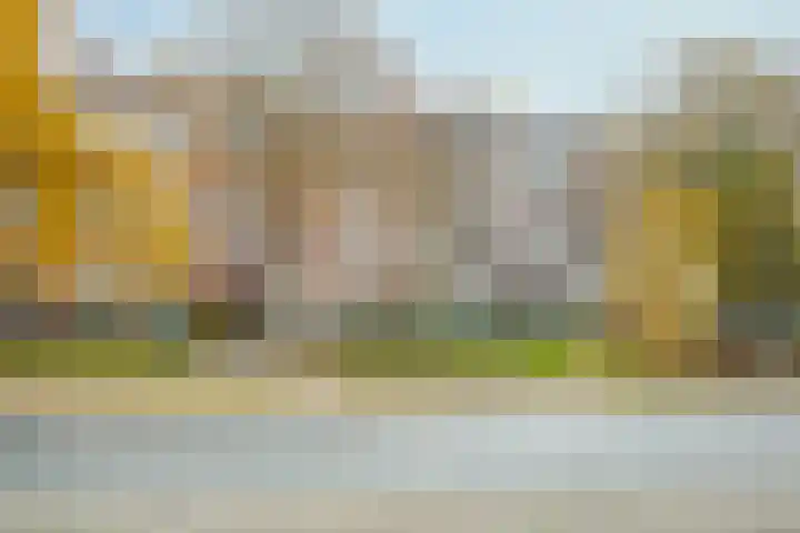 Mient 160 Den Haag thumbnail 45