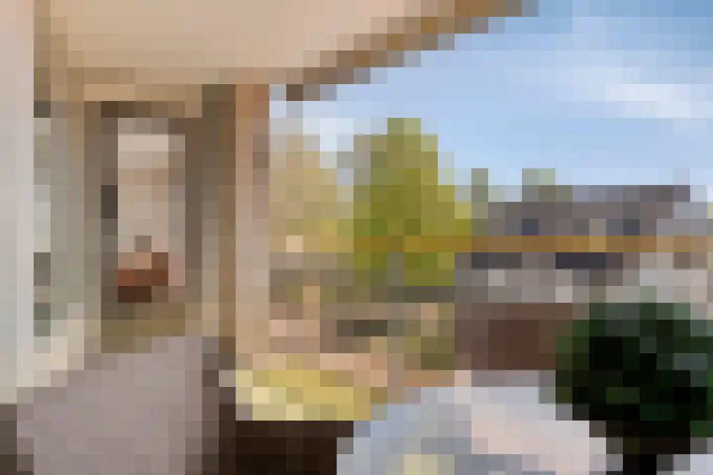 Mient 224 Den Haag thumbnail 17