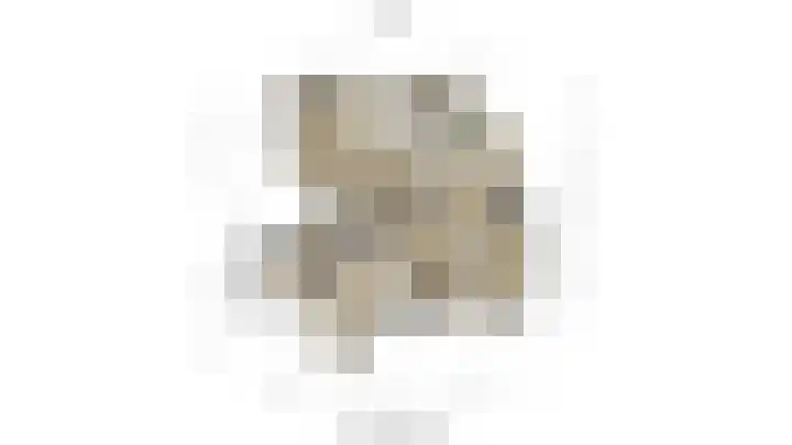 Mient 224 Den Haag thumbnail 29