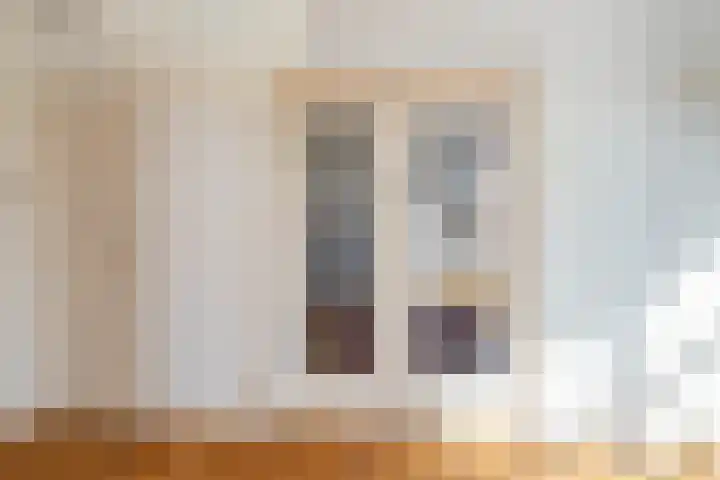 Mient 224 Den Haag thumbnail 7