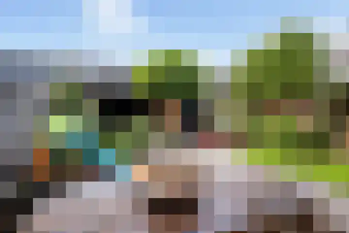 Mient 405 Den Haag thumbnail 18