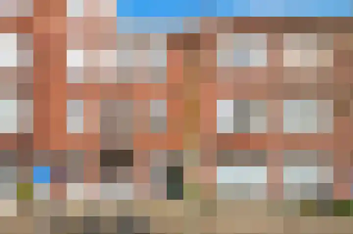 Mient 453 Den Haag thumbnail 5