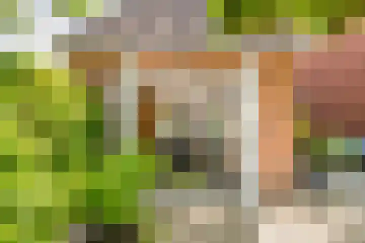 Mient 5 Castricum thumbnail 17