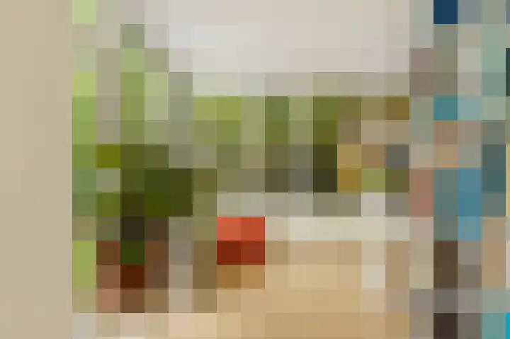 Mient 5 Castricum thumbnail 27