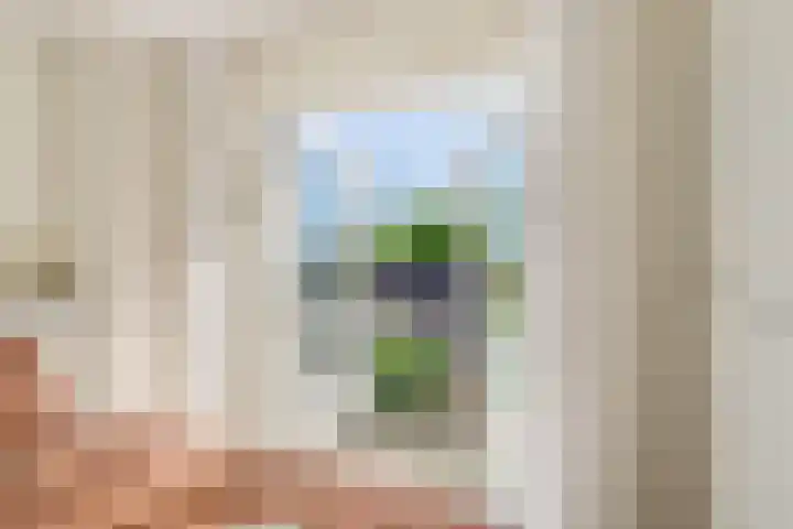 Mient 5 Castricum thumbnail 33
