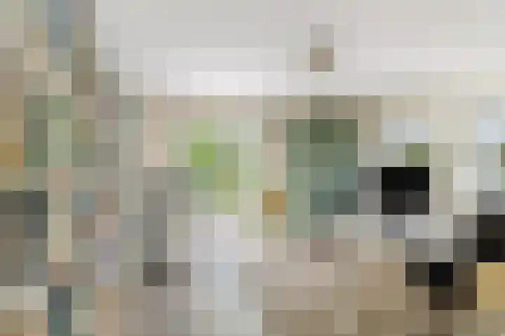 Mient 5 Castricum thumbnail 34