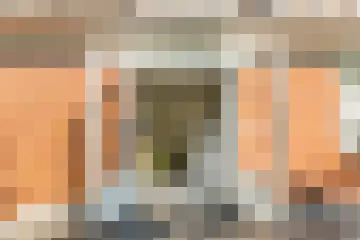 Mient 5 Castricum thumbnail 36