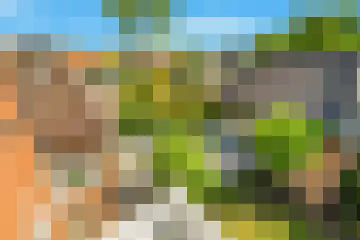 Mient 5 Castricum thumbnail 52