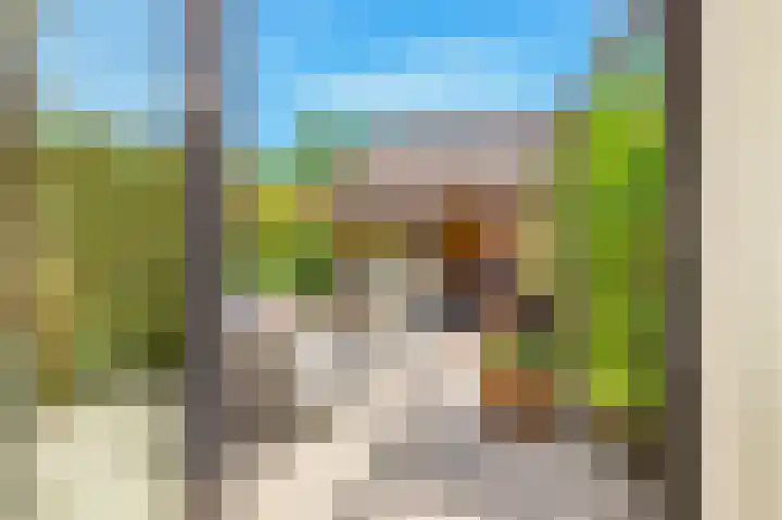 Mient 5 Castricum thumbnail 53