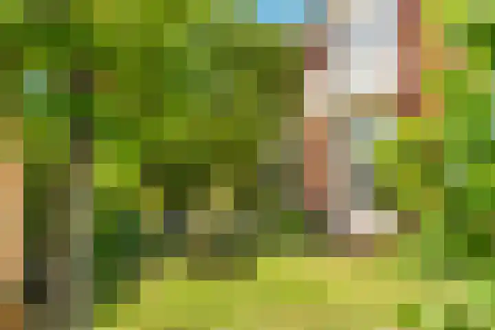 Mient 5 Castricum thumbnail 57