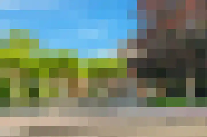 Mient 5 Castricum thumbnail 62