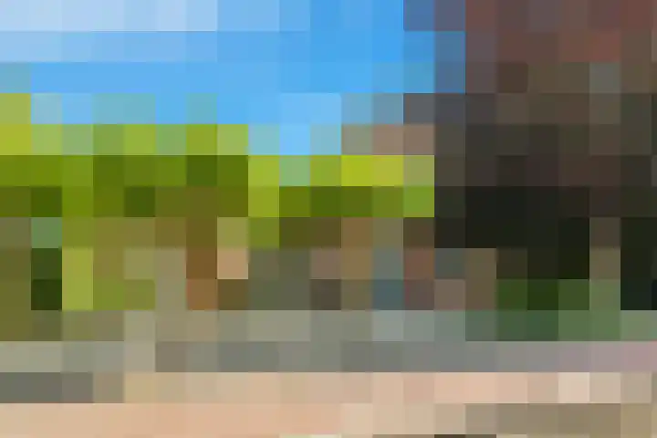 Mient 5 Castricum thumbnail 63