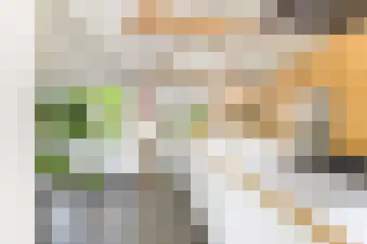 Mient 5 Castricum thumbnail 8