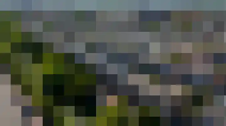Mient 7 Den Haag thumbnail 19