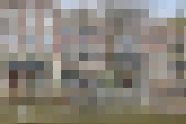 Mient 9 Alkmaar