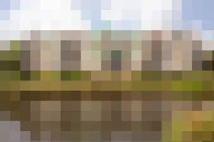 Mientekade 76 Halfweg