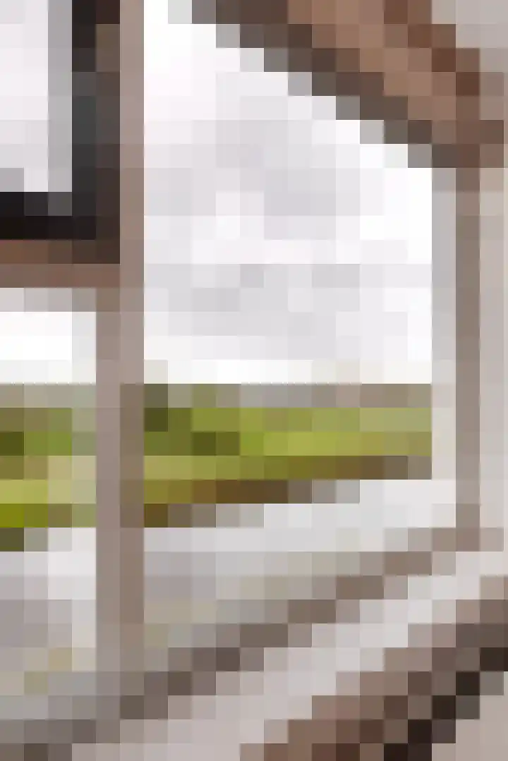 Mientekade 76 Halfweg thumbnail 12