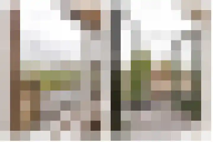 Mientekade 76 Halfweg thumbnail 21