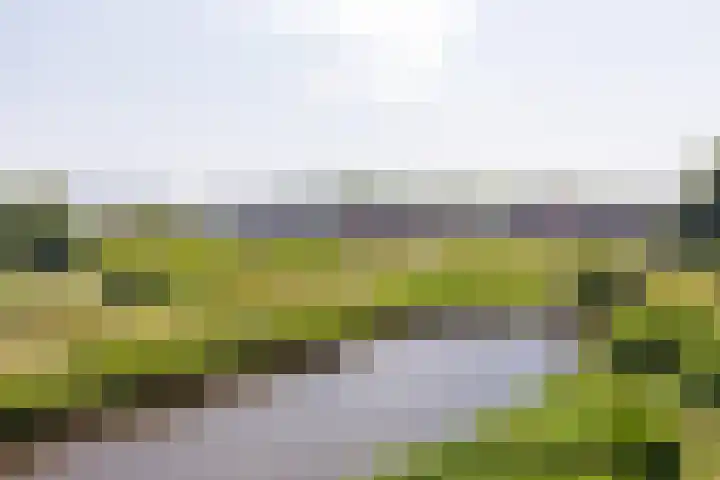 Mientekade 76 Halfweg thumbnail 24