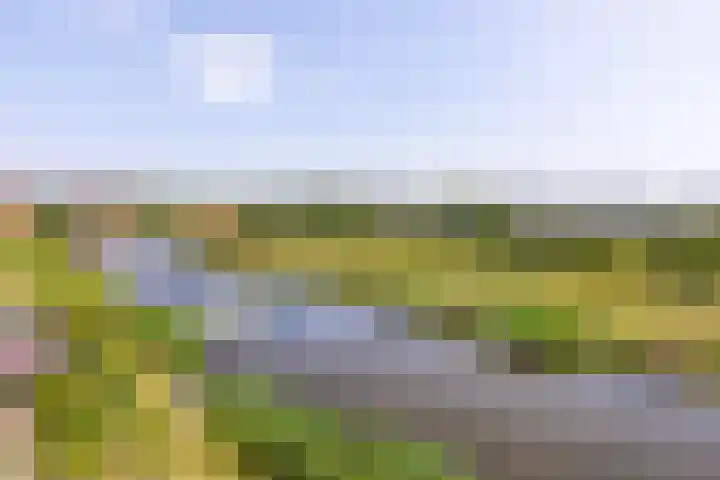 Mientekade 76 Halfweg thumbnail 25