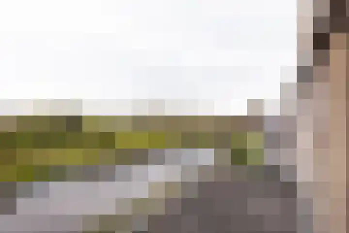 Mientekade 76 Halfweg thumbnail 27