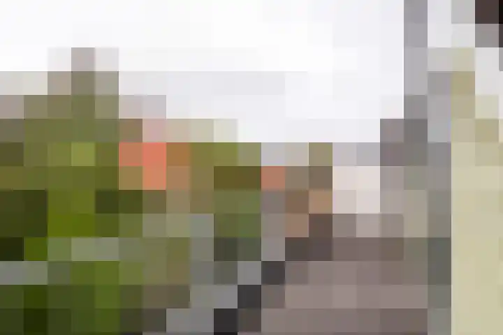 Mientekade 76 Halfweg thumbnail 28