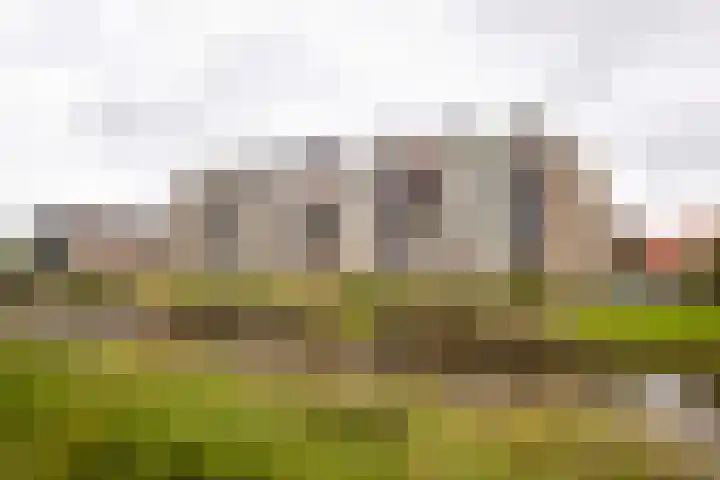 Mientekade 76 Halfweg thumbnail 31