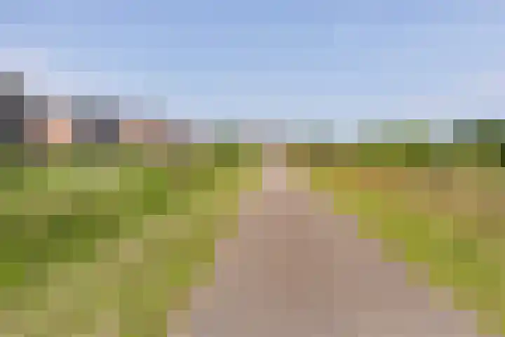 Mientekade 76 Halfweg thumbnail 34