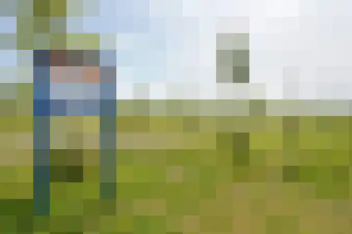 Mientekade 76 Halfweg thumbnail 37