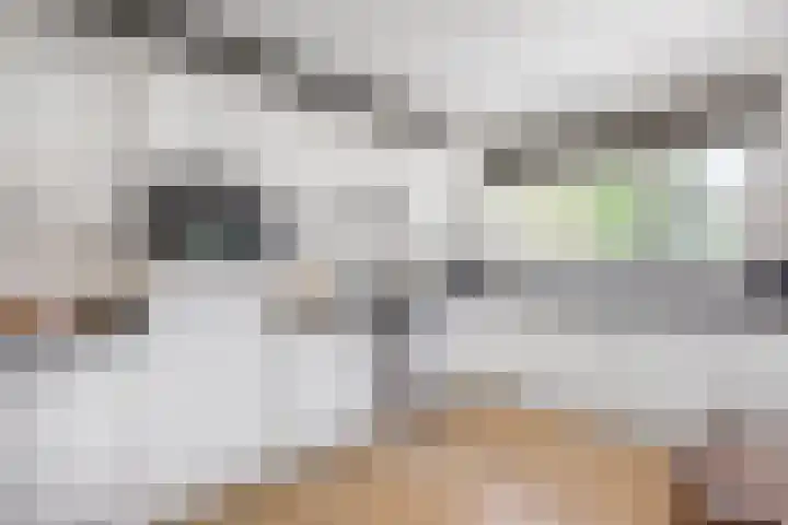 Mientekade 77 Halfweg thumbnail 12