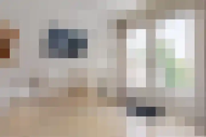 Mientekade 77 Halfweg thumbnail 20