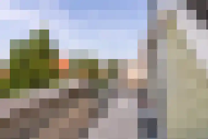 Mientekade 77 Halfweg thumbnail 21