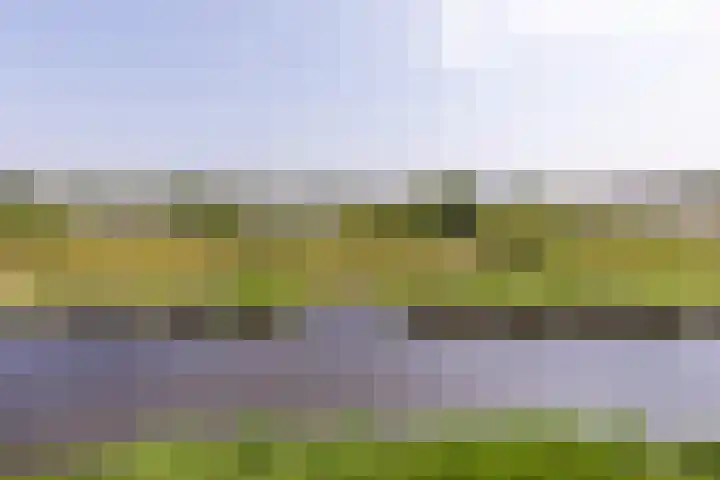 Mientekade 77 Halfweg thumbnail 25
