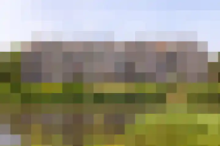 Mientekade 77 Halfweg thumbnail 26