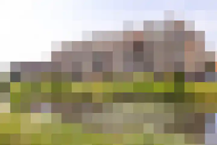 Mientekade 77 Halfweg thumbnail 27
